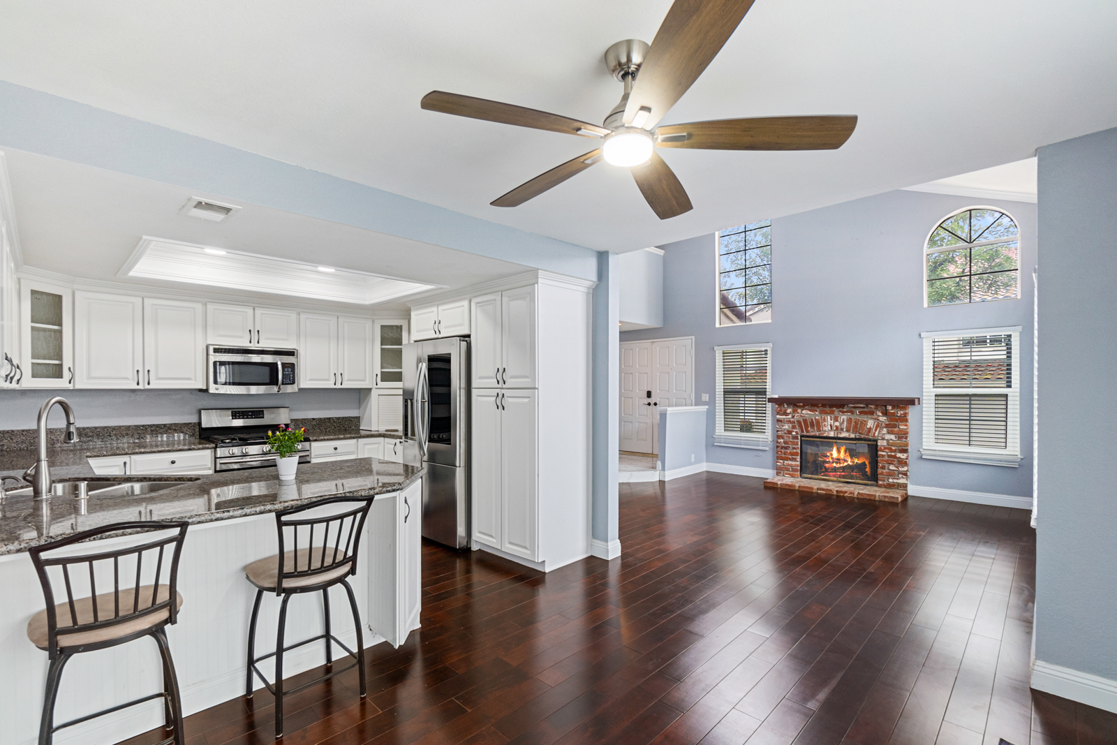 Kitchen and Living Renovation